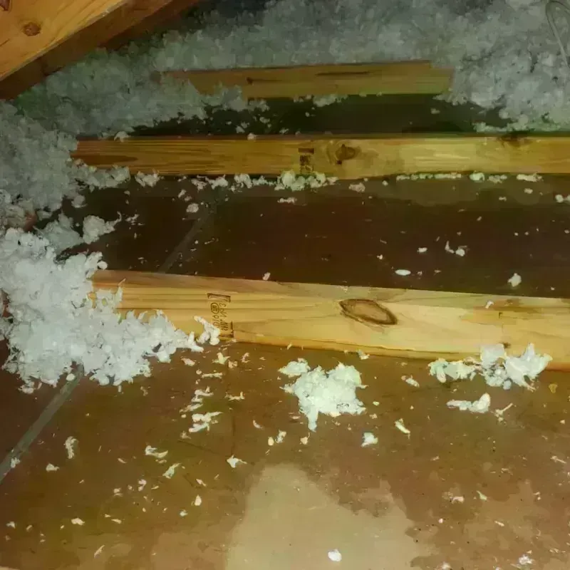 Attic Water Damage in Jackson County, GA